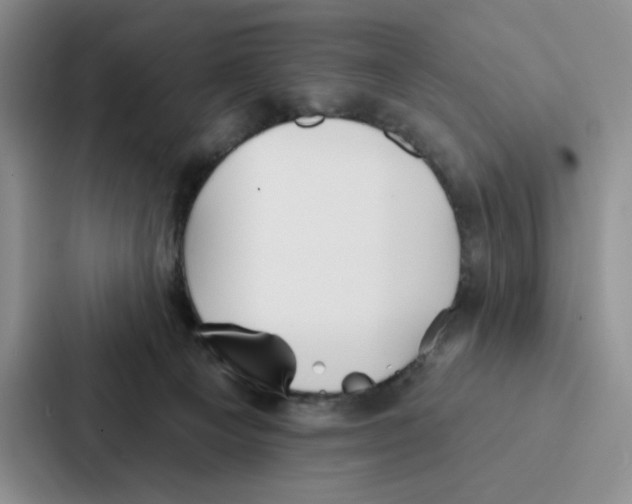 X0000086900129200705141650