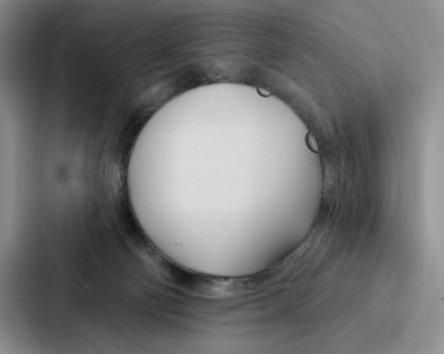 X0000086900130200705141650