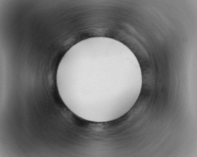 X0000086900131200705141650