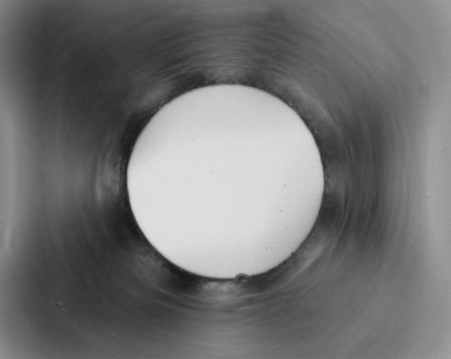 X0000086900133200705141650