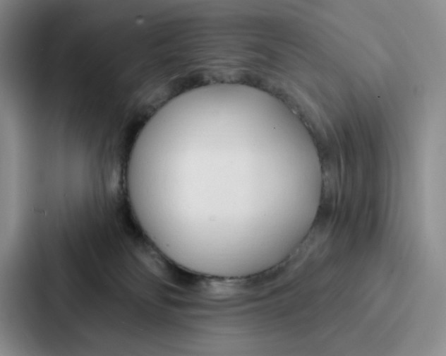 X0000086900134200705141650