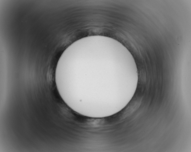 X0000086900135200705141650