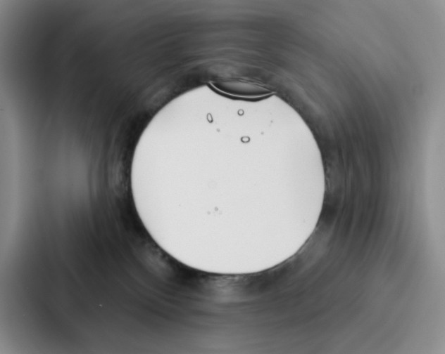 X0000086900136200705141650