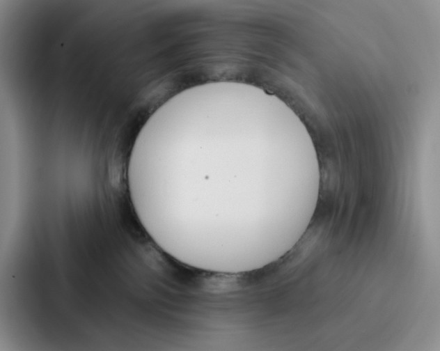 X0000086900138200705141650