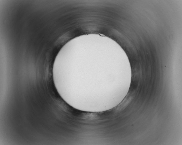 X0000086900140200705141650