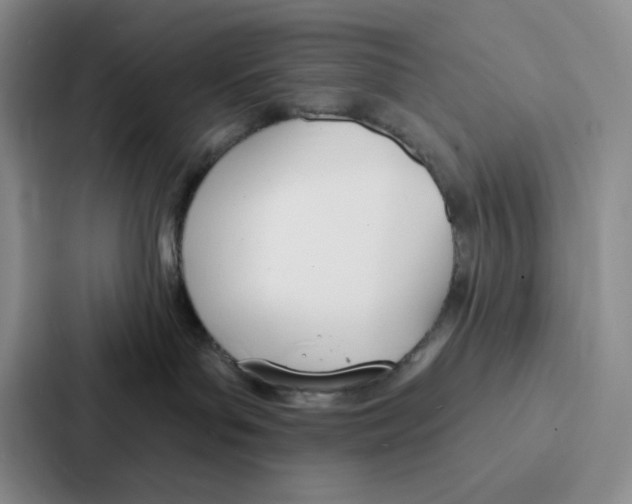 X0000086900143200705141650