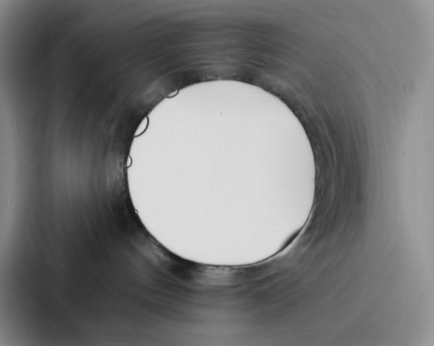 X0000086900144200705141650