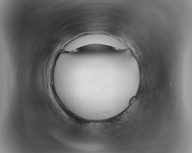 X0000086900145200705141649