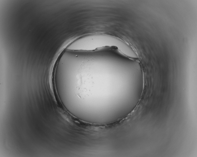 X0000086900147200705141649