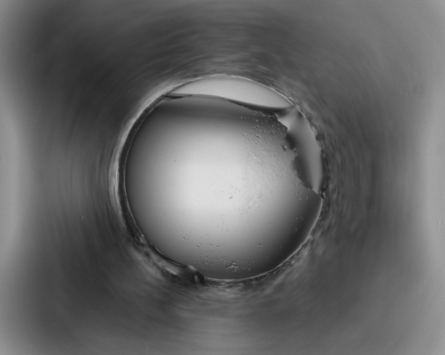 X0000086900148200705141649