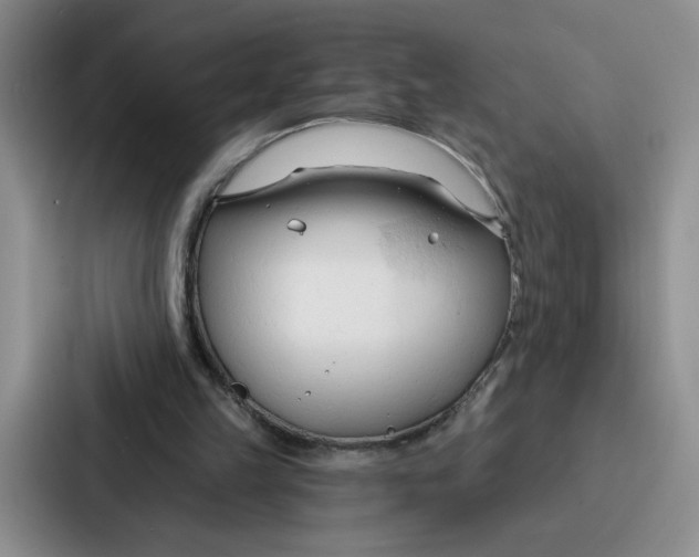 X0000086900149200705141649