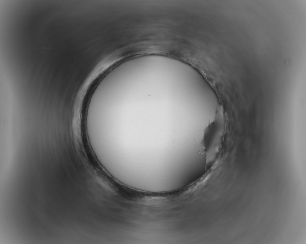 X0000086900150200705141649