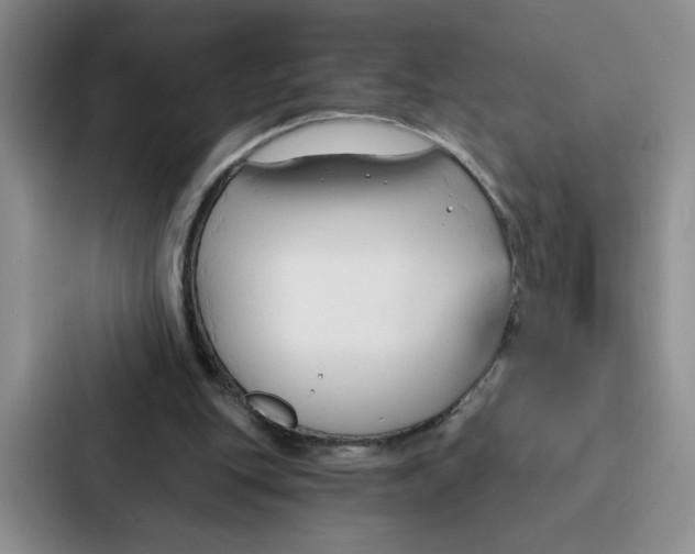 X0000086900151200705141649