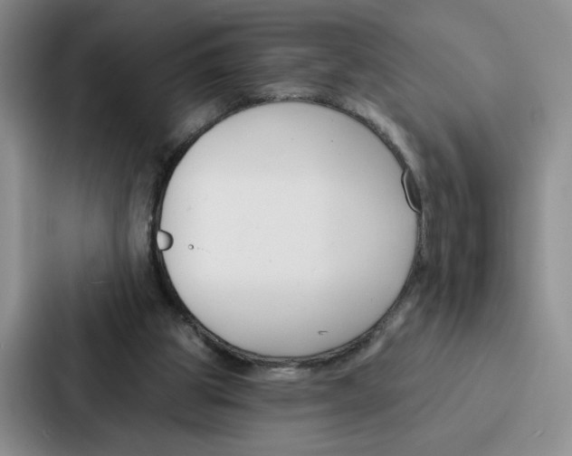 X0000086900153200705141649