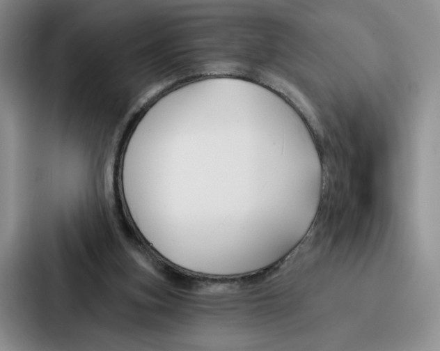 X0000086900155200705141649