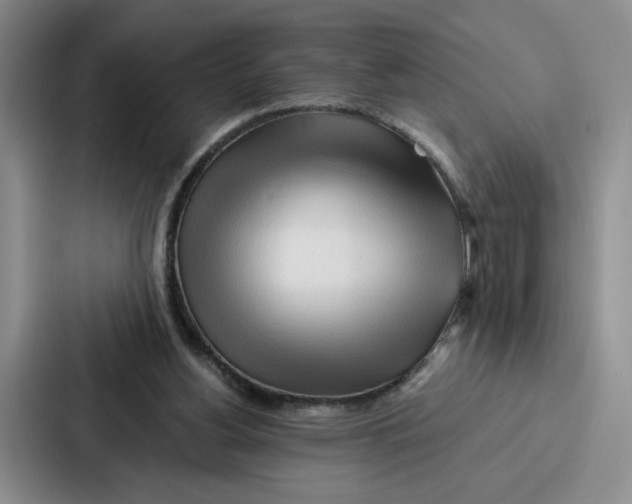 X0000086900156200705141649