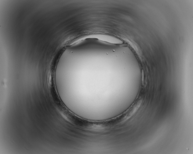 X0000086900157200705141649