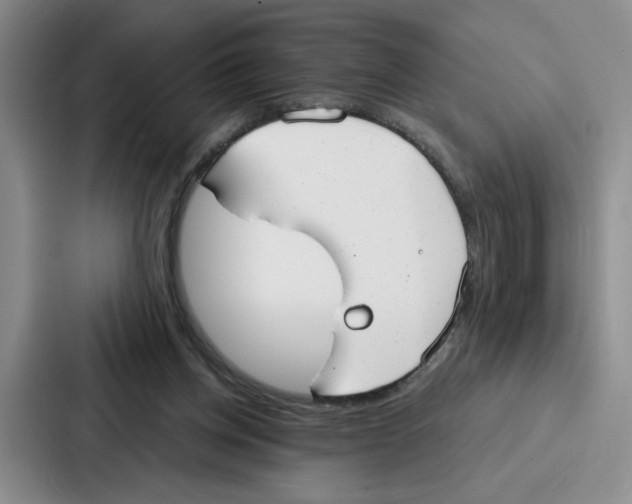 X0000086900158200705141649