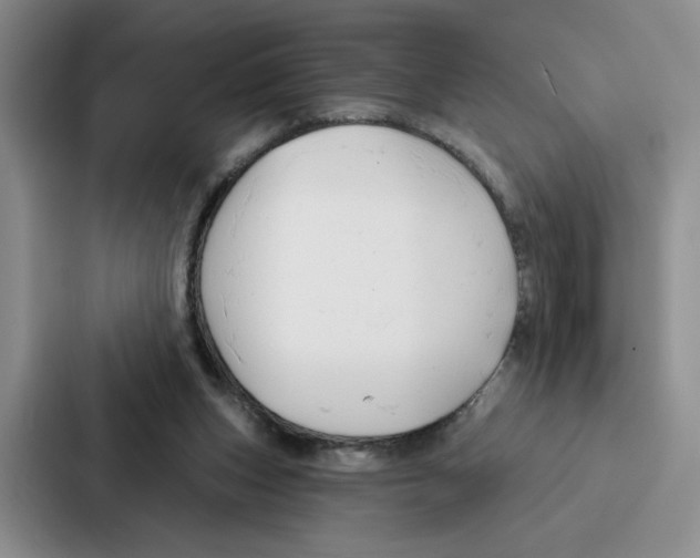 X0000086900159200705141649