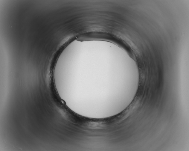 X0000086900160200705141649