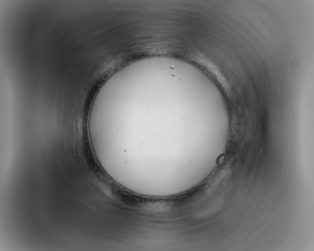 X0000086900161200705141649