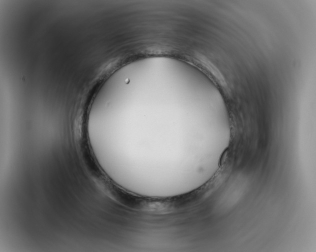 X0000086900163200705141649