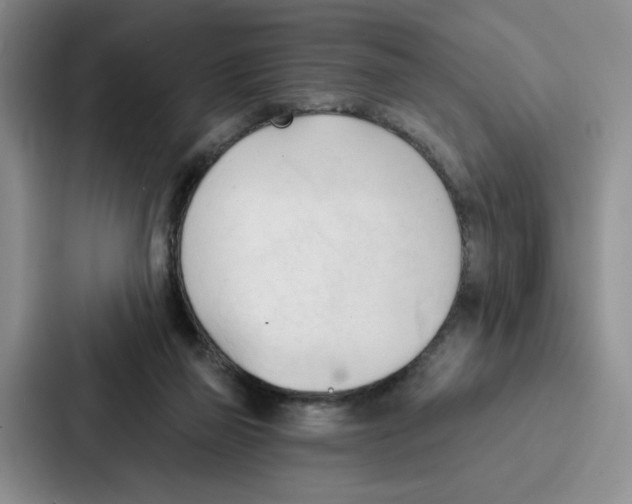 X0000086900165200705141649