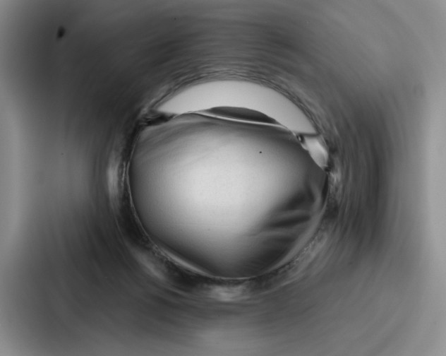 X0000086900168200705141649