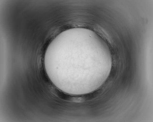 X0000086900169200705141649