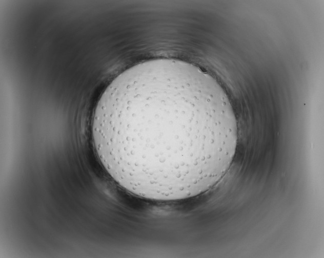 X0000086900171200705141649