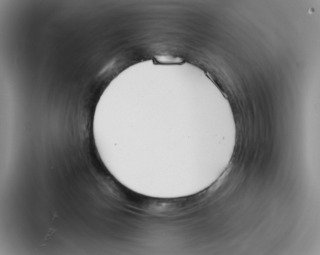 X0000086900174200705141650