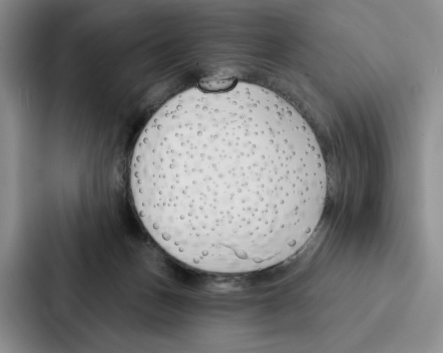 X0000086900175200705141650