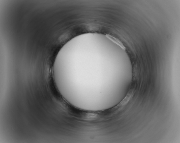 X0000086900176200705141650