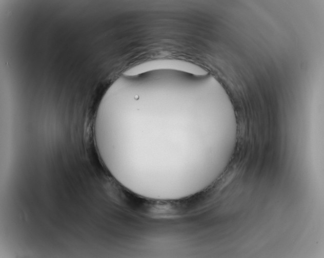 X0000086900177200705141650