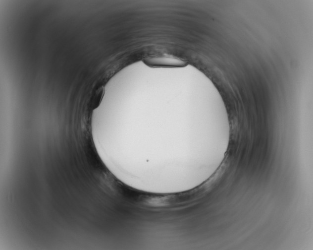 X0000086900178200705141650