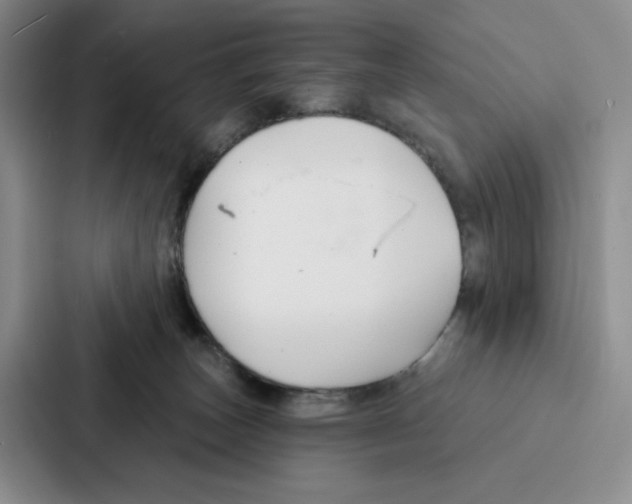 X0000086900179200705141650