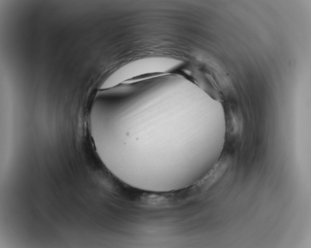 X0000086900180200705141650