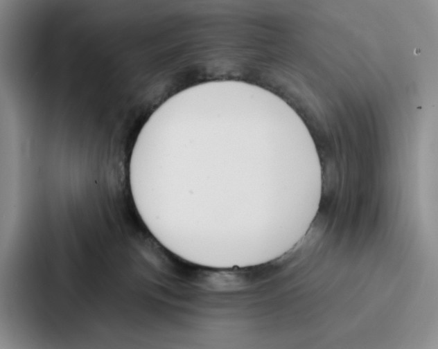 X0000086900183200705141650