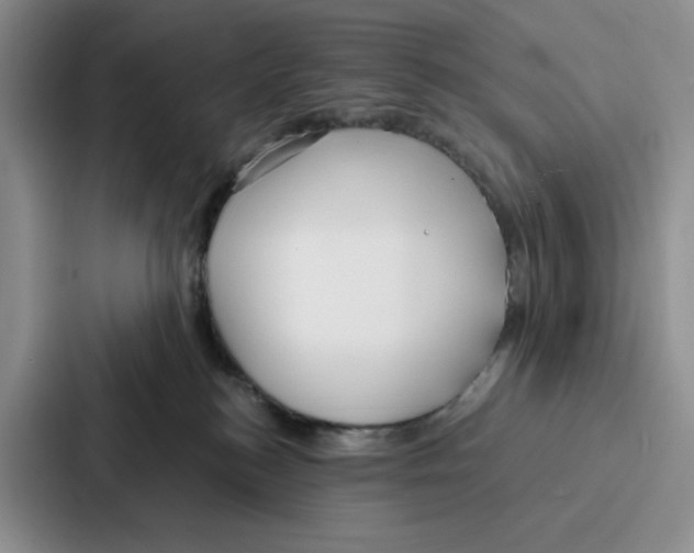 X0000086900184200705141650