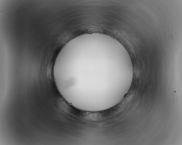 X0000086900185200705141650