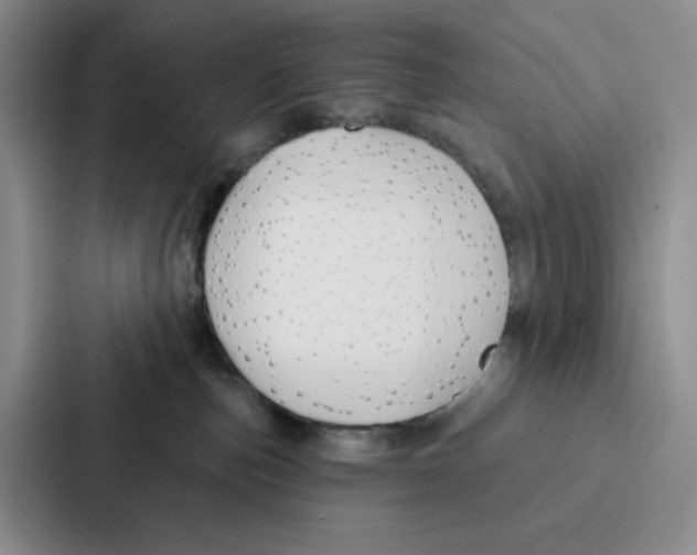 X0000086900187200705141650