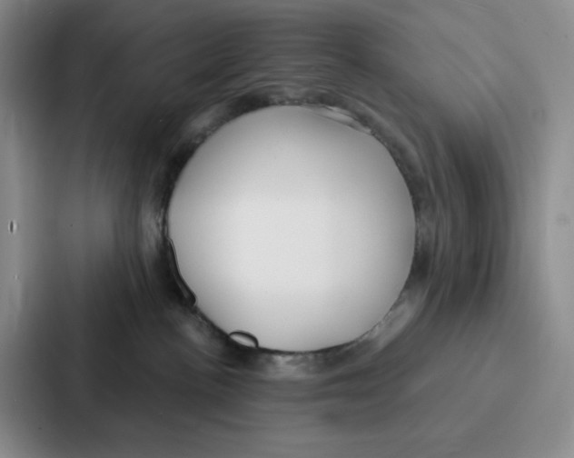 X0000086900188200705141650