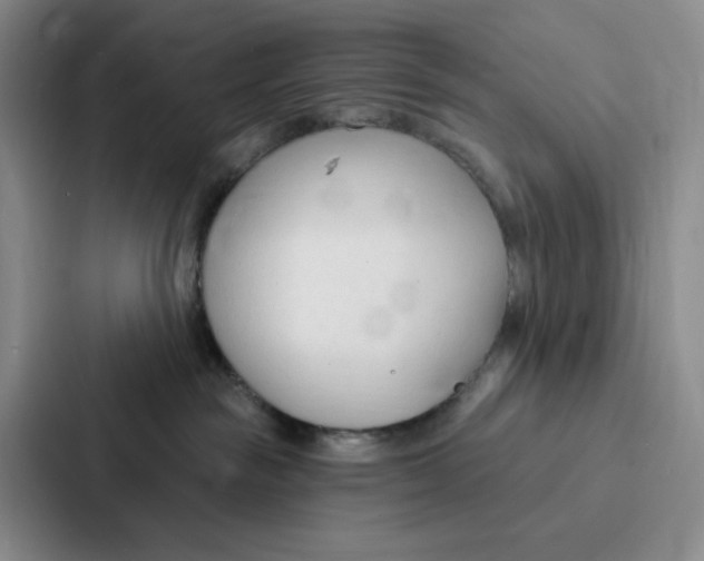 X0000086900189200705141650