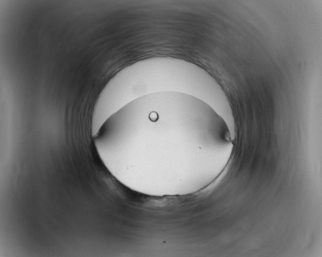 X0000086900190200705141650