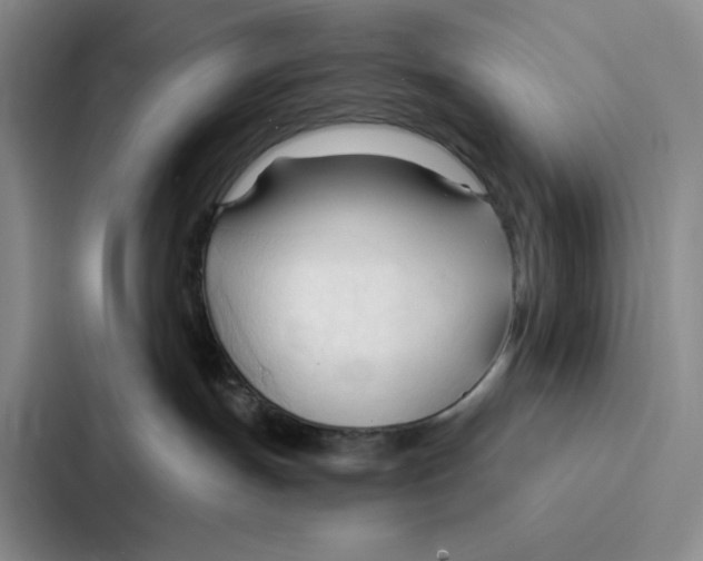 X0000086900191200705141650