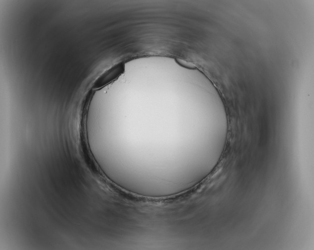 X0000086900194200705141649