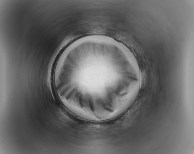 X0000086900195200705141649