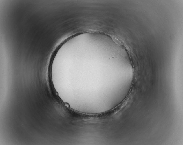 X0000086900196200705141649