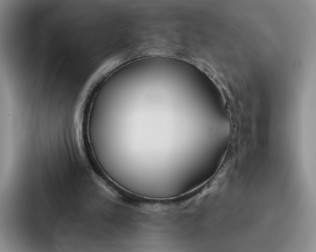 X0000086900197200705141649