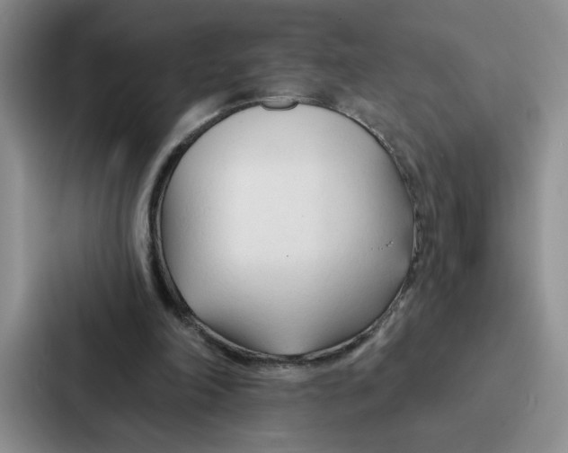 X0000086900198200705141649